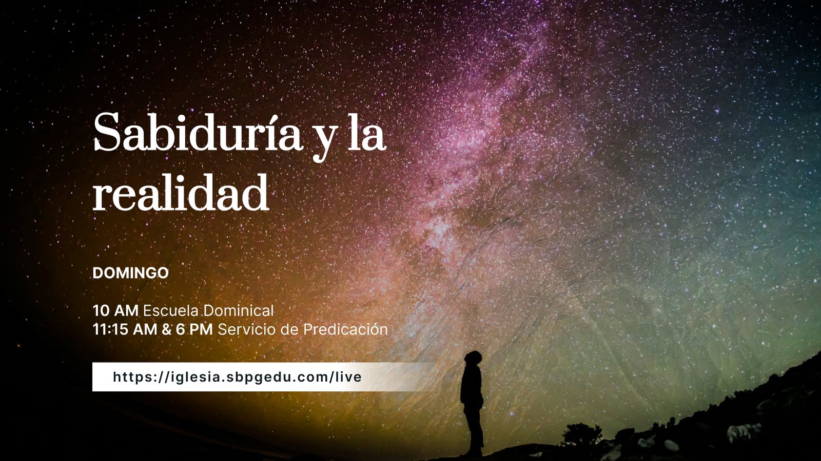 Sabiduría y la realidad portada